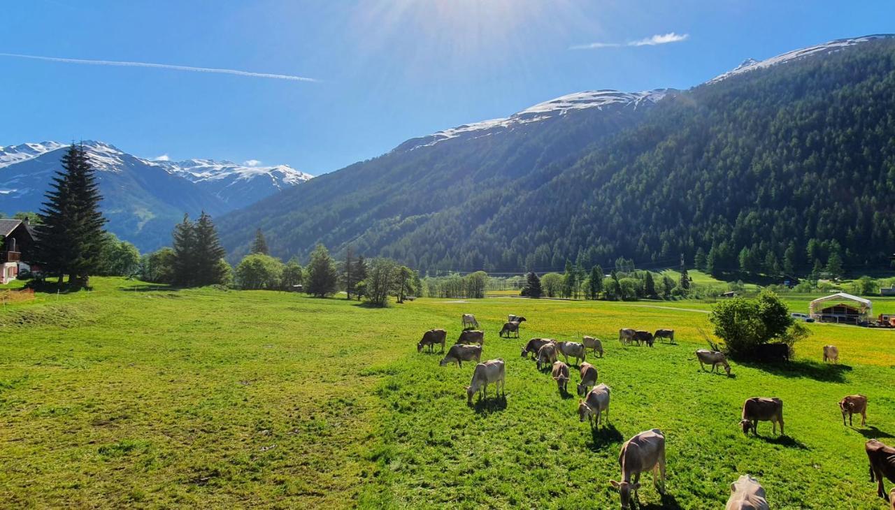 Chalet Breithorn- Perfect For Holiday With Amazing View! Obergesteln Exteriör bild