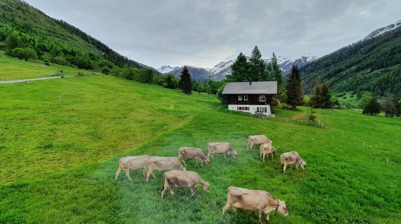 Chalet Breithorn- Perfect For Holiday With Amazing View! Obergesteln Exteriör bild